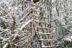 Winterimpressionen 04.01.2021