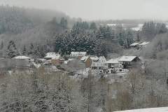 Winterimpressionen 04.01.2021