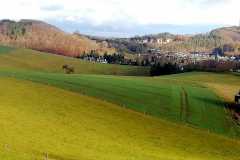 Fruehling-im-Dezember 14.12.2020