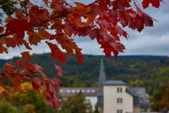 Weibern im Herbst