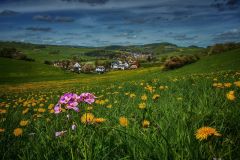 Wabern