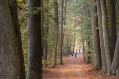 Am-Laacher-See